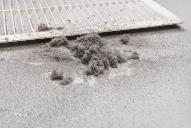Best Affordable Duct Cleaning Services  in Fitchburg, WI