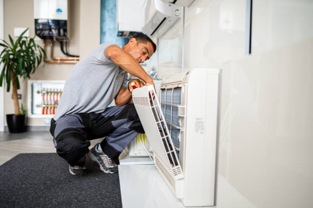 Air Duct Mold Removal in Fitchburg, WI