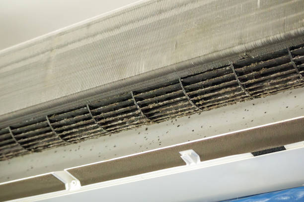 Best Affordable Duct Cleaning Services  in Fitchburg, WI